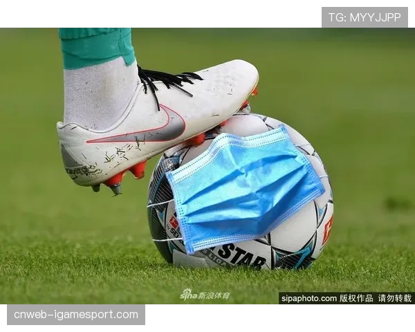 德甲联盟公布上季度财报：媒体版权收入同比增长8.5%